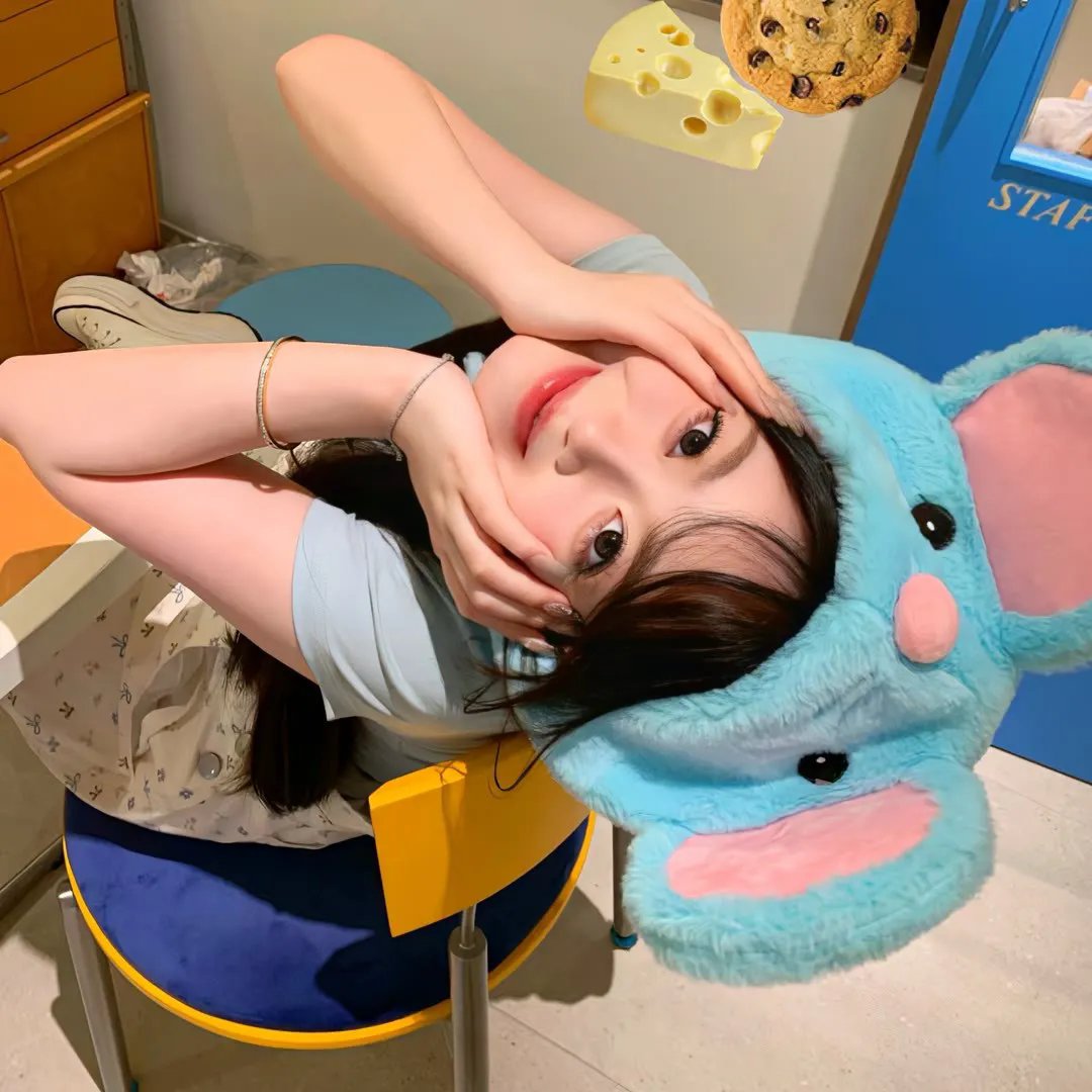 有仔出售